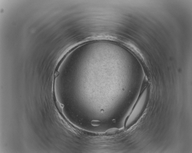 X0000067511228200604101247