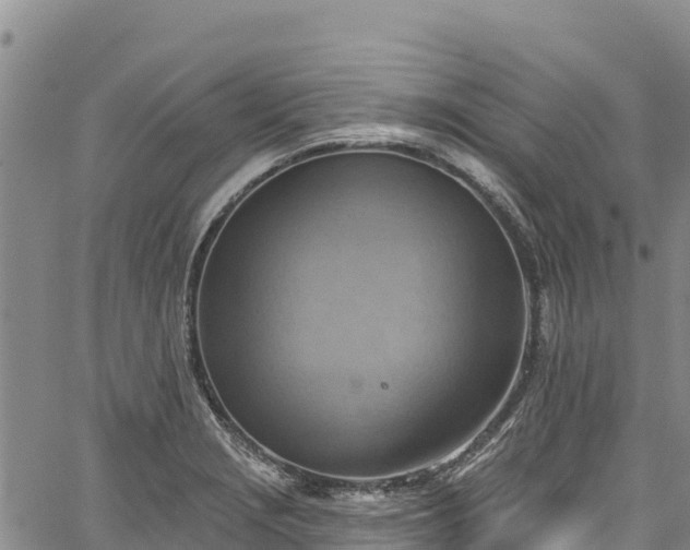 X0000067511229200604101247