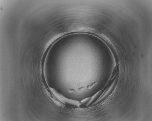 X0000067511230200604101247