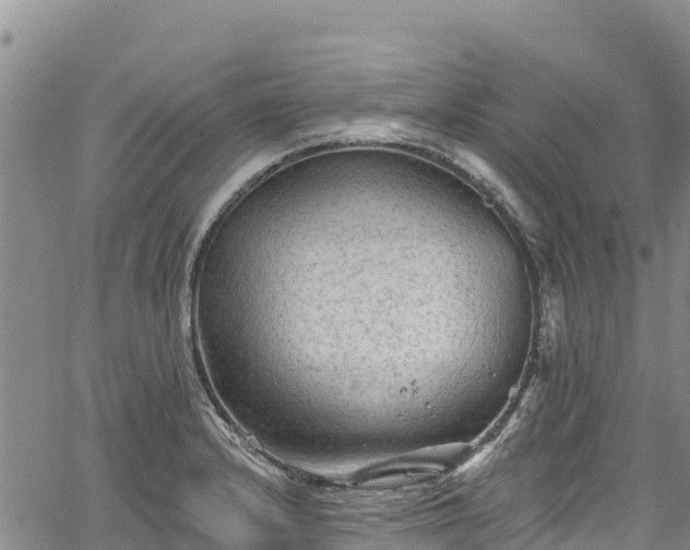 X0000067511232200604101247