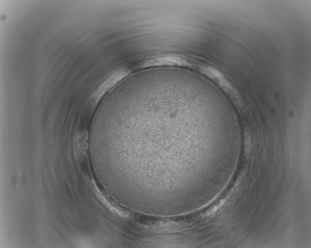 X0000067511233200604101247