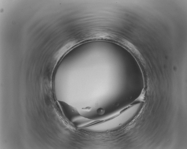 X0000067511234200604101247