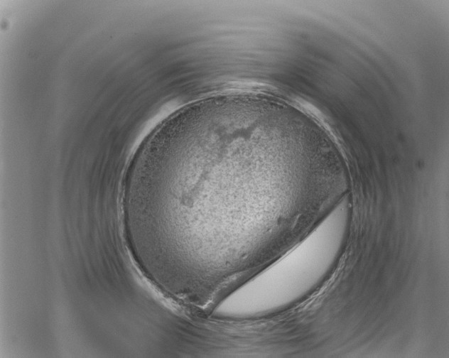 X0000067511235200604101247