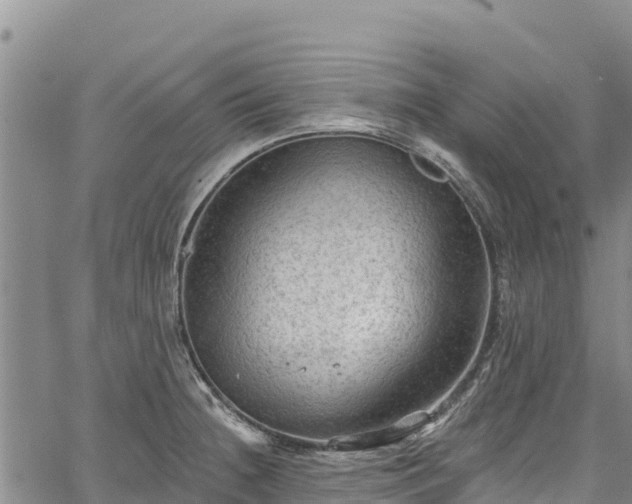 X0000067511236200604101247