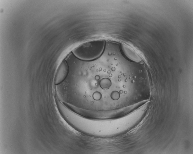 X0000067511239200604101247