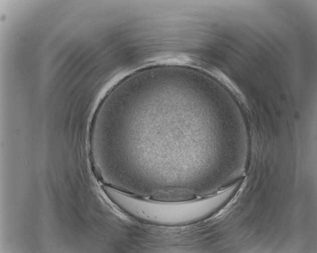 X0000067511240200604101247