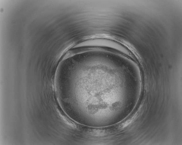 X0000067511241200604101247