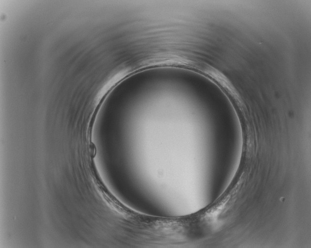 X0000067511242200604101247