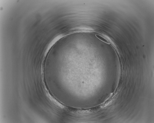 X0000067511243200604101247