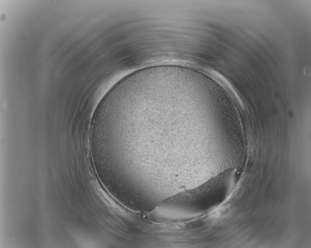 X0000067511244200604101247