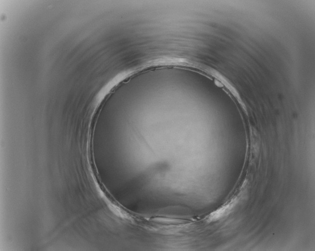 X0000067511245200604101248