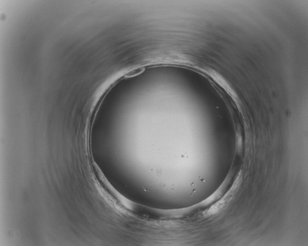 X0000067511246200604101248