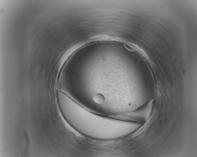 X0000067511247200604101248