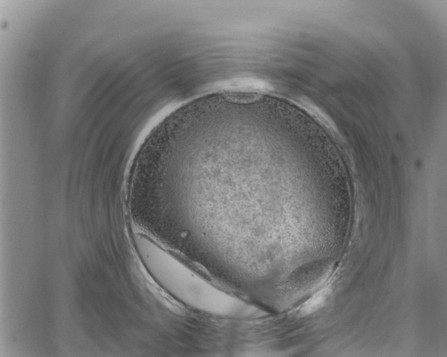 X0000067511248200604101248