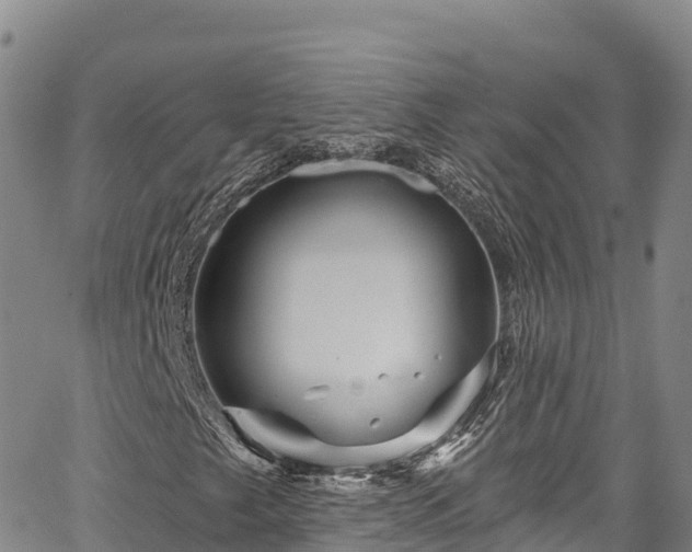 X0000067511249200604101247