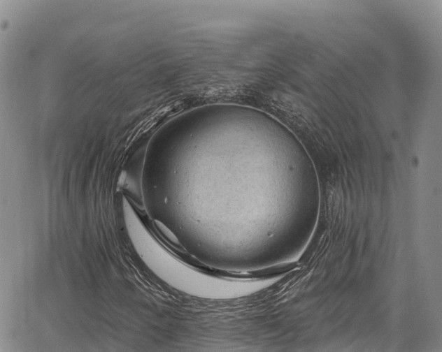 X0000067511250200604101247