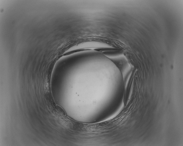 X0000067511252200604101247