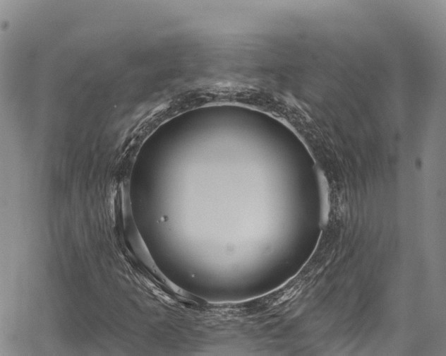 X0000067511253200604101247