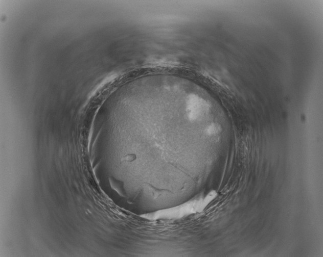 X0000067511254200604101247