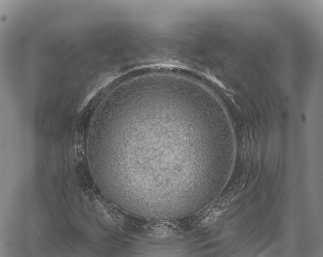 X0000067511255200604101247