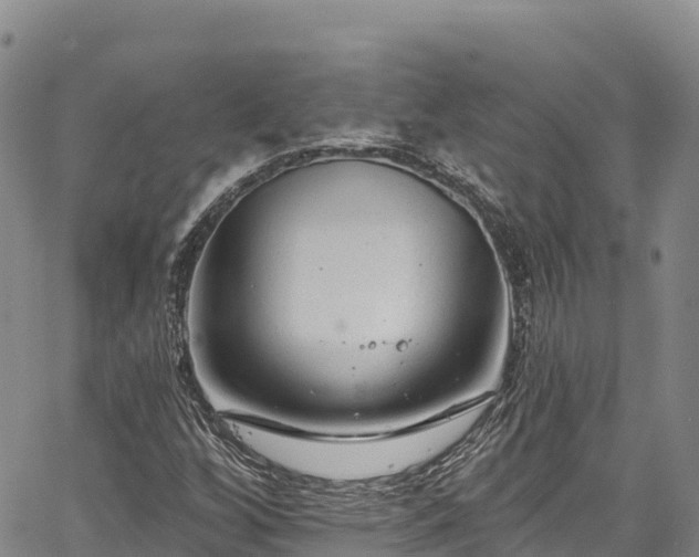 X0000067511256200604101247