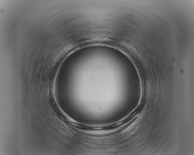 X0000067511257200604101247