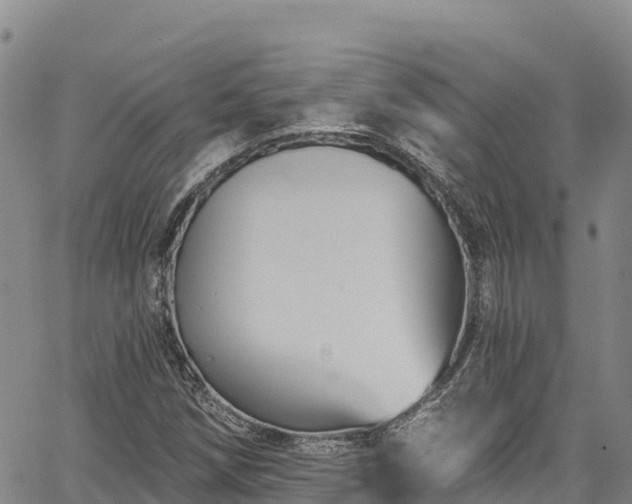 X0000067511258200604101247