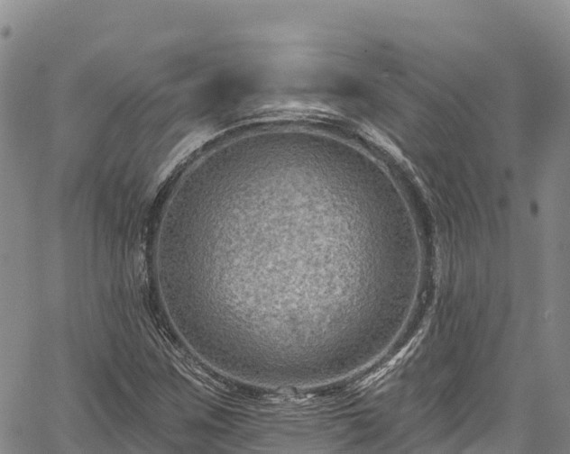 X0000067511259200604101247