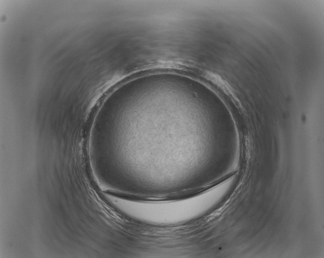 X0000067511260200604101247