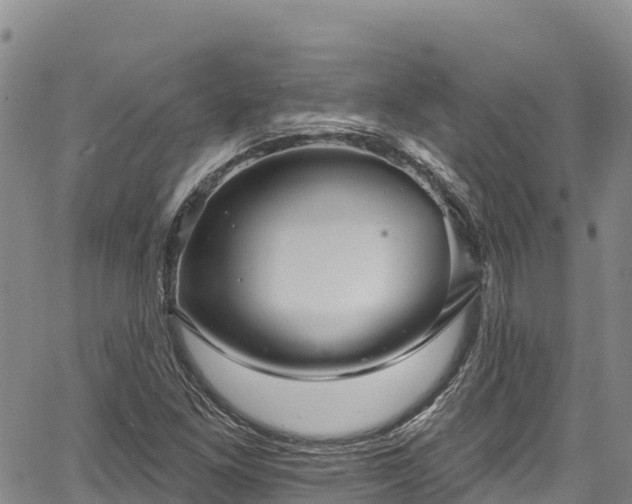 X0000067511261200604101247