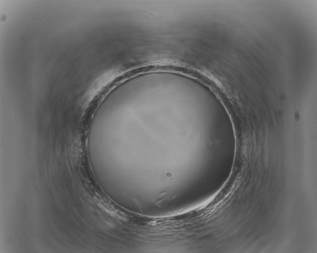 X0000067511263200604101247