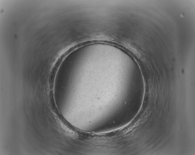 X0000067511264200604101247