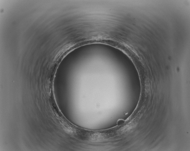 X0000067511265200604101247