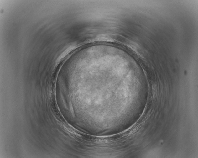 X0000067511266200604101247