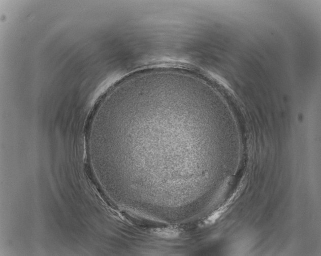 X0000067511267200604101246