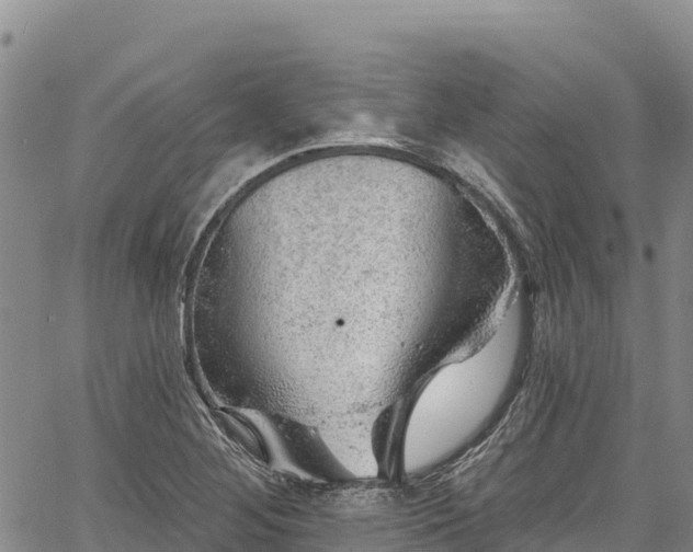 X0000067511268200604101246