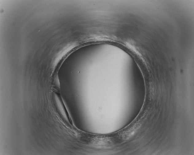 X0000067511269200604101246