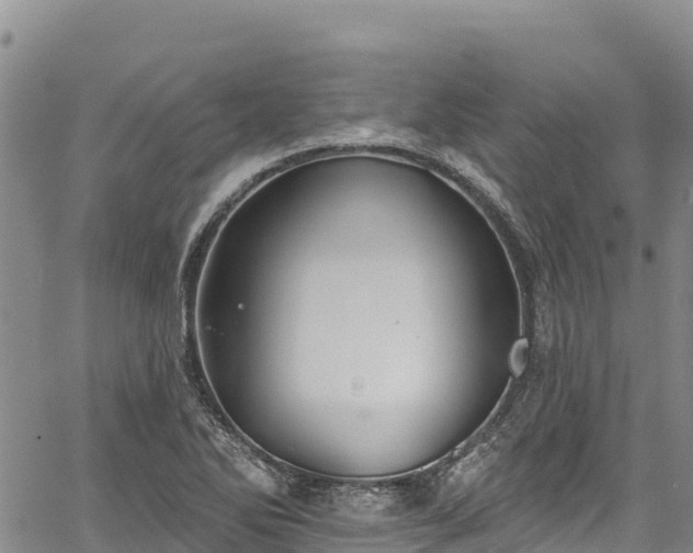 X0000067511270200604101246