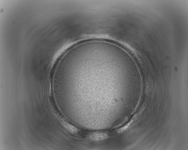 X0000067511271200604101246