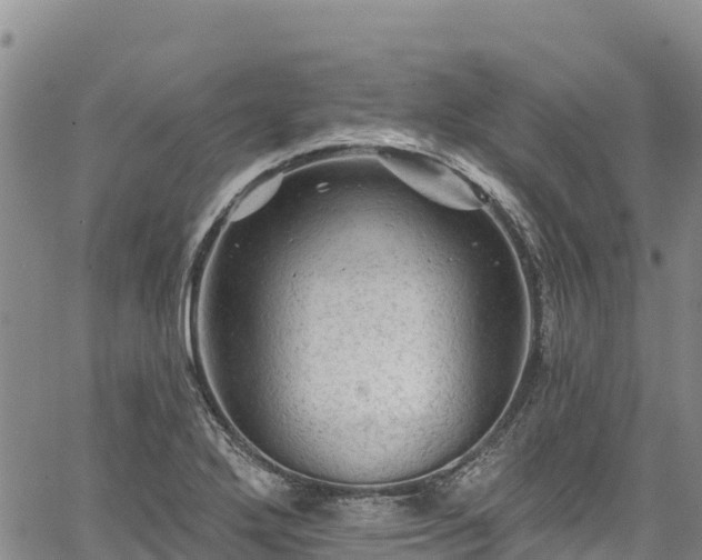 X0000067511272200604101246