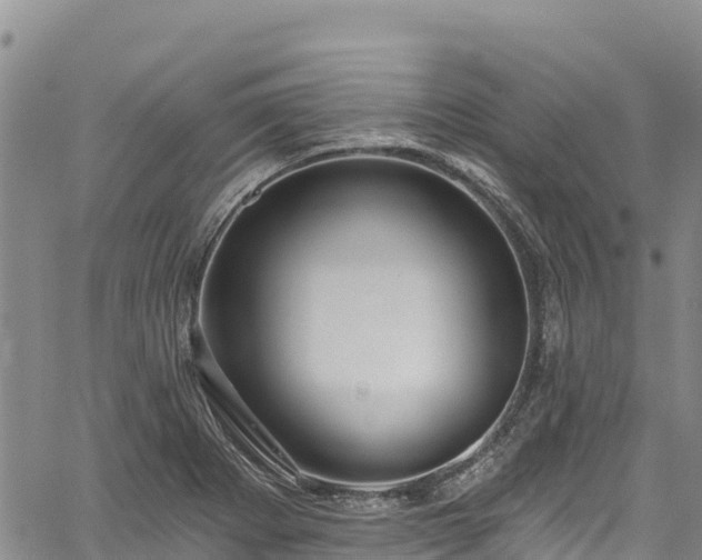 X0000067511273200604101246