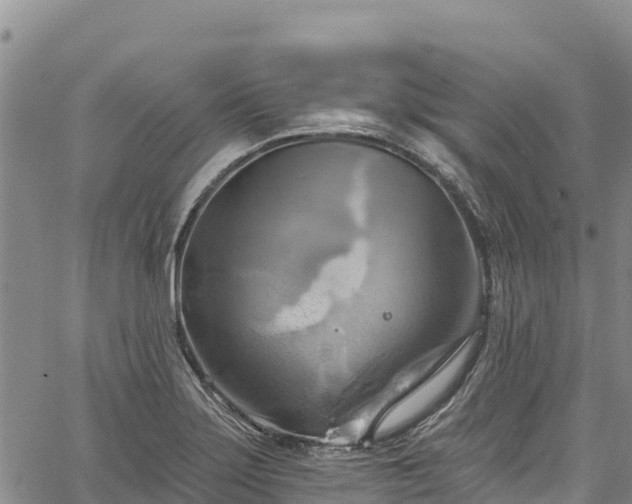 X0000067511275200604101246