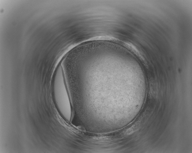 X0000067511276200604101246