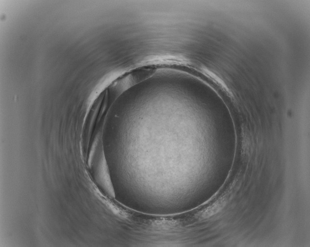 X0000067511277200604101246