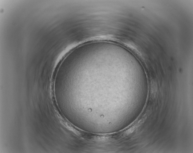 X0000067511278200604101246