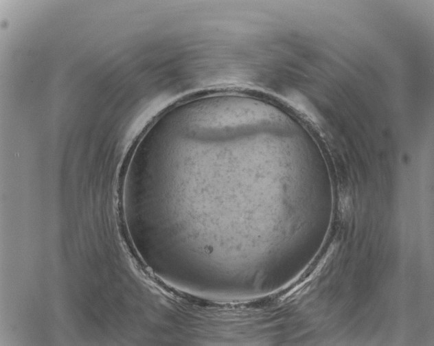 X0000067511279200604101246