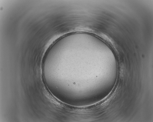 X0000067511280200604101246