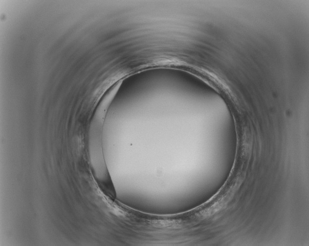 X0000067511281200604101246