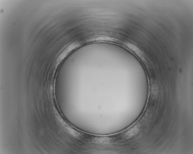 X0000067511282200604101246