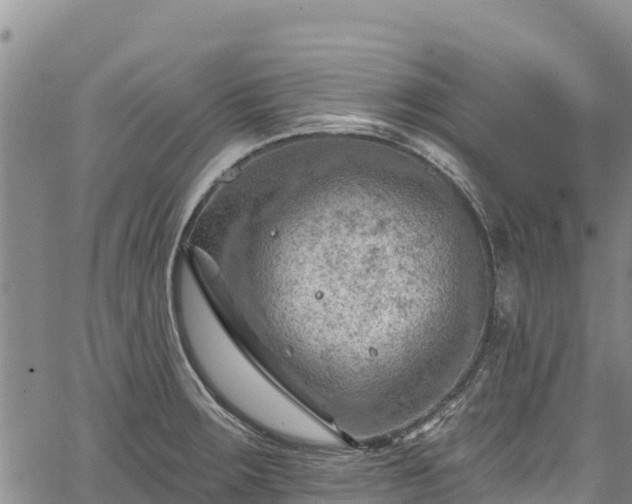 X0000067511283200604101246